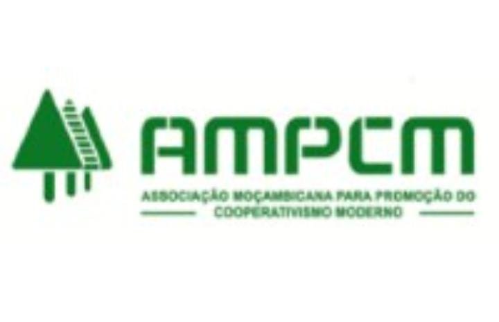 Vaga para Gestor de Marketing e Finanças 