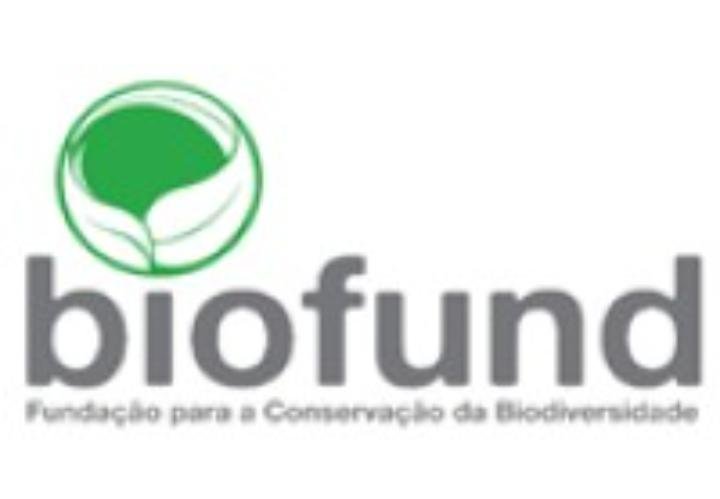 Vaga para Consultor para Treinamento Básico sobre Apicultura, Associativismo e Assistência Técnica Especializada para Grupos de Apicultores na Paisagem do Parque Nacional de Mágoè