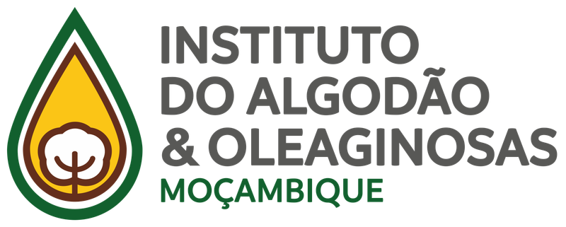 Vaga para Director de Serviços Centrais de Pesquisa, Planificação e Projectos (M/F)